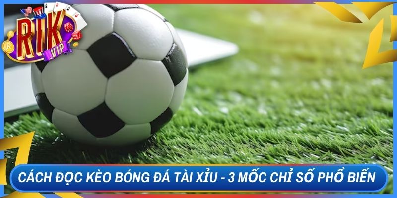 Cách Đọc Kèo Bóng Đá Tài Xỉu - 3 Mốc Chỉ Số Phổ Biến 1 Cách Đọc Kèo Bóng Đá Tài Xỉu - 3 Mốc Chỉ Số Phổ Biến