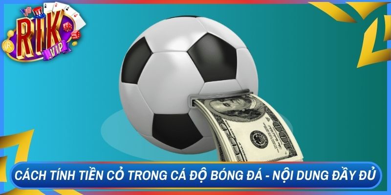 Cách Tính Tiền Cỏ Trong Cá Độ Bóng Đá - Nội Dung Đầy Đủ 1 Cách Tính Tiền Cỏ Trong Cá Độ Bóng Đá - Nội Dung Đầy Đủ
