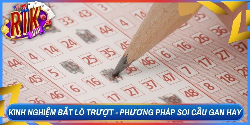 Kinh Nghiệm Bắt Lô Trượt - Phương Pháp Soi Cầu Gan Hay 1 Kinh Nghiệm Bắt Lô Trượt - Phương Pháp Soi Cầu Gan Hay